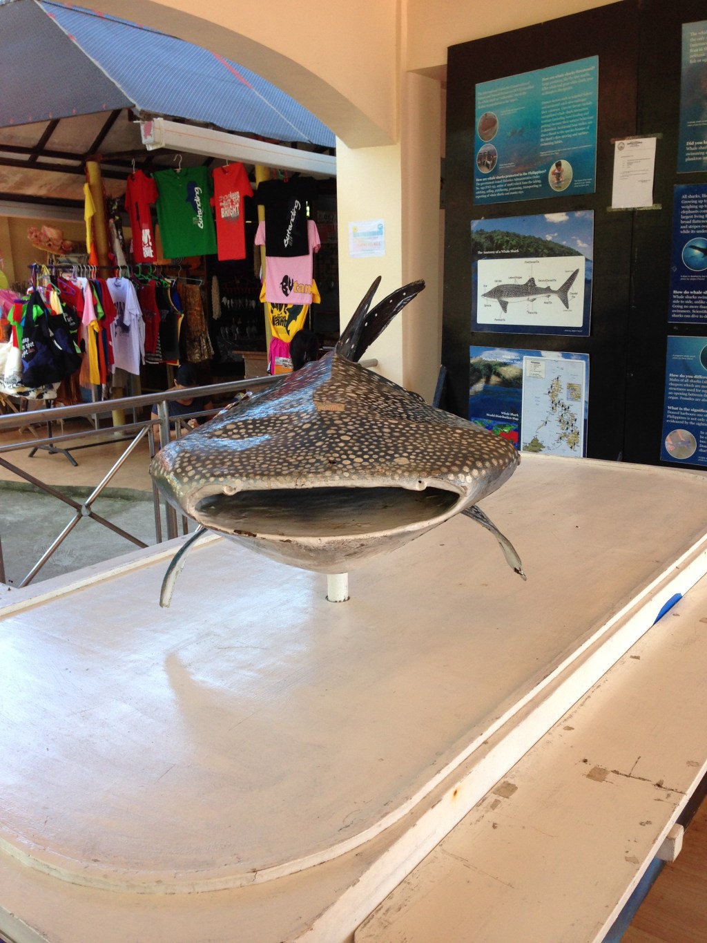 Before She Dated a Gangster, LLCOM was Here! (Bicol Day&nbsp;1)